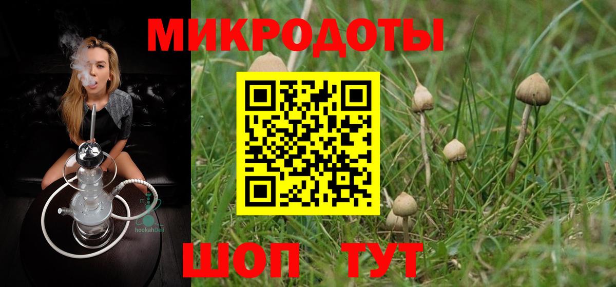 Псилоцибиновые грибы ЛСД Сибай